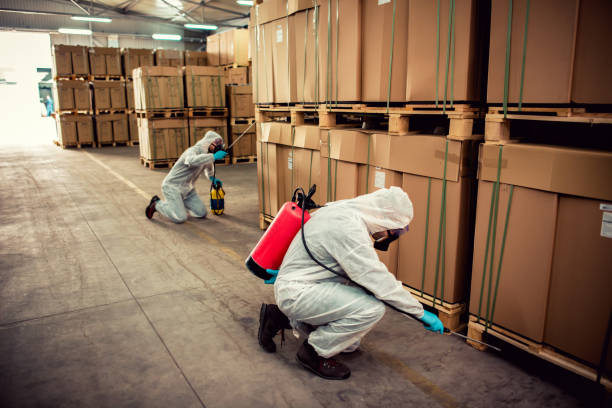 Best Pest Inspection Near Me  in Reeds Spring, MO