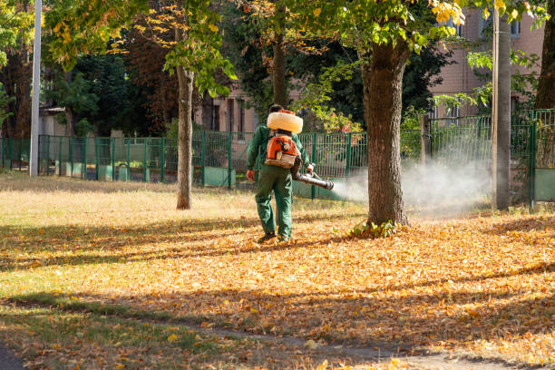Best Mosquito Control Services  in Reeds Spring, MO