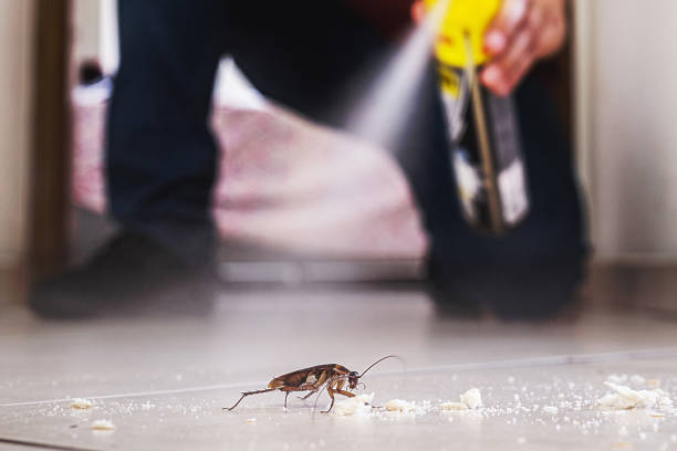 Wildlife Control Services in Reeds Spring, MO