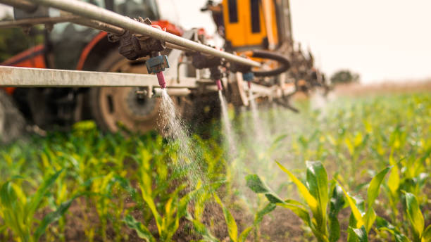 Pest Control for Restaurants in Reeds Spring, MO